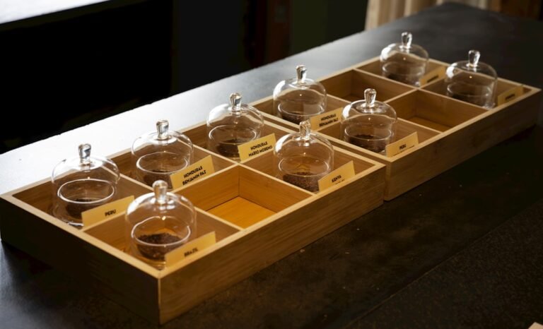 Coffee beans arranged in tasting containers for comparing coffee flavor notes