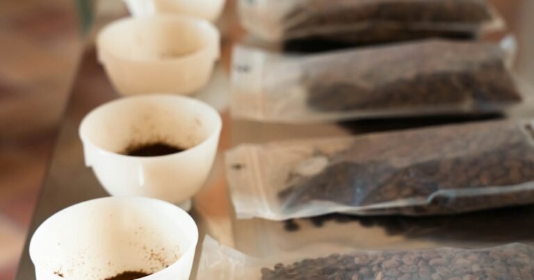 Coffee beans and tasting samples for comparing light, medium, and dark roast coffee