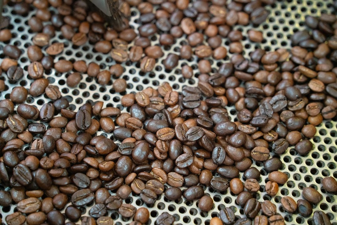 Freshly roasted coffee beans cooling after roasting